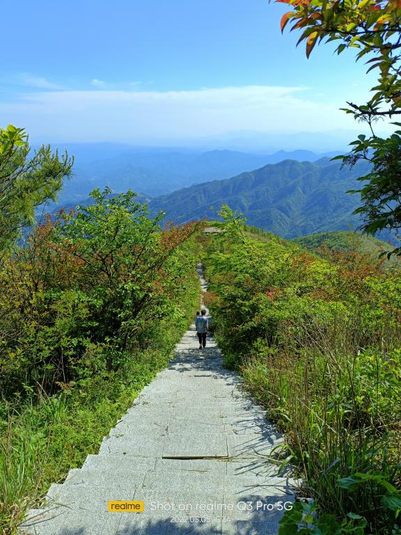 大熊山十里杜鹃游道