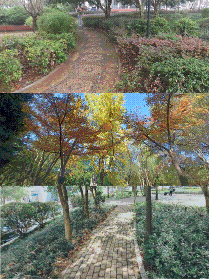 2021-11-14 17:17:13.162000