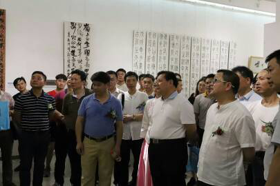 全国人大代表、中国书协理事、湖南省文化厅副厅长、湖南省书法家协会主席鄢福初观展