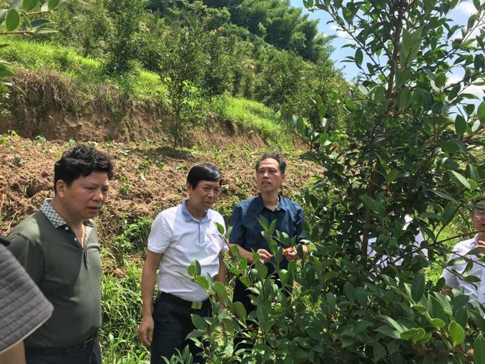 微信图片_202006171448454